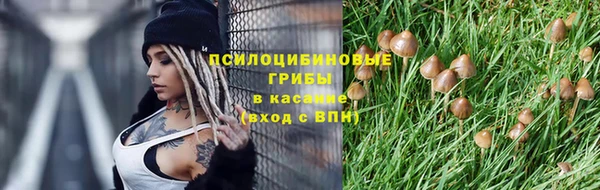 гашик Абаза